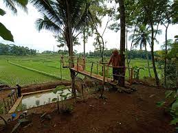 Puncak amarilis kendari merupakan sebuah puncak bukit amarilis yang masih berada di pinggiran kota. Suasana Alami Pedesaan Di Buruan Lega Desa Kujang Ciamis Jawa Barat Yang Asri Sejuk Denianggoleta