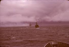 Image result for Maigruen 1982 Fleet