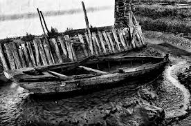 Flotte T Elle Encore Ile D Oleron Boyardville Site Ostreicole De Fort Royer