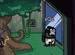 Custom Among Us Skin I Made That He Could Use If Wanted Xqcow