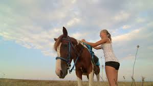 Download Horseback Riding Vacations Girl Rider Stock Footage Video 100 Royalty Free 7357978 Shutterstock