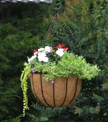 We did not find results for: Bellus Large Hanging Baskets 14 17 22 Extra Deep Wrought Iron Pvc Coated Garden Artisans Llc