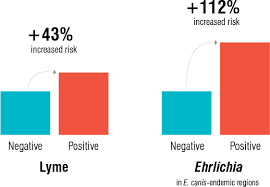 Exposure To Tick Borne Diseases Increases Risk Of Developing Chronic Kidney Disease Idexx Us