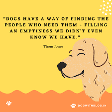 Doge meme wallpaper 1920x1080 | amazing wallpapers. Dogs Have A Way Of Finding The People Who Need Them Filling An Emptiness We Didn T Even Know We Have Thom Jones 1080 1080 Quotesporn