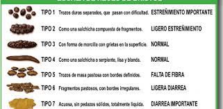 Los Secretos Que Las Heces Pueden Revelar De Tu Salud