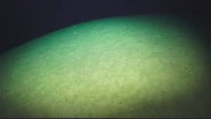 We did not find results for: Why Aren T You Zooming In On The Cool Stuff Schmidt Ocean Institute