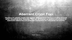 When you are focused on school, all your attention is fixed on one thing: Medical Vocabulary What Does Aberrant Crypt Foci Mean Youtube