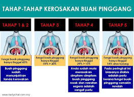 Yakinlah bahwa akan ada orang yang lebih baik dari si dia. Apakah Akan Terjadi Kalau Kedua Dua Buah Pinggang Dibuang Perubatan Kesihatan Forum Cari Infonet