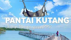 May 12, 2021 · dinamakan pantai kutang, karena sebelum pantai ini dijadikan destinasi wisata, dulu tempat ini sering dijadikan tempat berkumpulnya para pemuda pemudi, yang entah karena alasan apa mereka menggantungkan pakaian dalamnya di pohon mangrove atau tergeletak di sekitaran pantai, sehingga masyarakat yang melihat itu pun menamakan pantai ini sebagai pantai kutang. Yuk Intip Keunikan Pantai Kutang Di Lamongan Sering Jalan