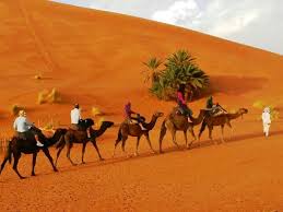 If you are thinking to visit morocco or going on a sahara desert trip, book your marrakech desert tours with us. Morocco Cultural Tours Marrakech Desert Trips Tours From Casablanca