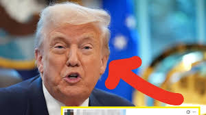 Meet Jimmy Carter and Rosalynn Carter's Family