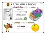 The weak analogy fallacy focuses on properties that are not central to the argument while minimizing differences that are important. Cell Analogies Worksheets Teaching Resources Tpt