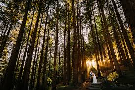 Maybe you would like to learn more about one of these? Joyful Berkeley Botanical Garden Redwood Wedding Ashleigh Tali Wild About You Photography