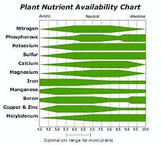 Hydroponic Nutrient Solutions