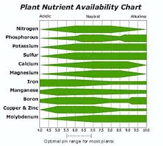 hydroponic nutrient solutions