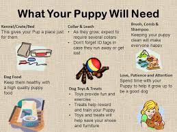 What you need for a puppy. Are You Ready For A Puppy Ppt Download