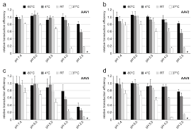 Image result for White 1999 AAV