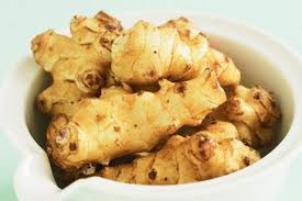 It is cultivated widely across the temperate zone for its tuber, which is used as a root vegetable. Jerusalem Artichokes