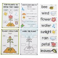 Plants Unit This Plants Unit Is The Perfect Introduction To Your Science Unit On Life And Living Resources Incl Plants Unit Plant Activities Word Wall Labels