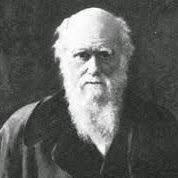 Nana Sefa-Sarpong (knsefasarpong)