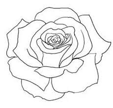 Rose Line Drawings Rose Outline Tattoo Flower Outline Tattoo Rose Outline Drawing