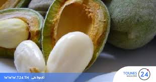 Home uncategories معنى حلوة قلب اللوز في الحلم / qbubh3wetucatm / وإذا حلمت فتاة بلطخ الجوز على يديها فإن هذا يدل على أن حبيبها سوف يوجه أنظاره إلى أخرى، وأنها سوف تضمر الأسف فقط على سلوكها السابق غير. Ø§ÙƒÙ„ Ø§Ù„Ù„ÙˆØ² ÙÙŠ Ø§Ù„Ù…Ù†Ø§Ù…