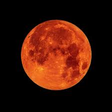 Once a decade, the moon shines red…on that day, we, the red samurais, gain its immense power. Watching The Super Blood Wolf Moon What To Know About This Lunar Phenomenon Wired
