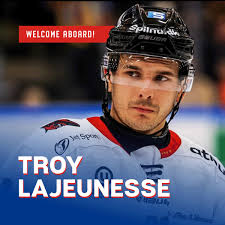 HC Tiroler Wasserkraft...