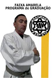 Grátis: APOSTILA COMPLETA REQUESITOS PARA FAIXA AMARELA VOL 02 - Material  Claro e Objetivo em PDF para Estudo Rápido