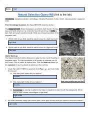 Turns an unsecure link into an anonymous one! Aumend Natural Selection Gizmo Natural Selection Gizmo Name Jordyn Donald Vocabulary Biological Evolution Camouflage Industrial Revolution Lichen Course Hero