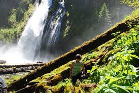 Welcome to medford in the heart of southern oregon, where the possibilities of things to do are never ending. 17 Southern Oregon Adventures You Do Not Want To Miss What To Do In Southern Oregon