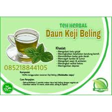 Daun keji beling sudah banyak diolah dan dipasarkan sebagai obat herbal. Teh Herbal Daun Keji Beling Pecah Beling U Obat Batu Ginjal Kanker Wasir Anti Depresan Dll Shopee Indonesia