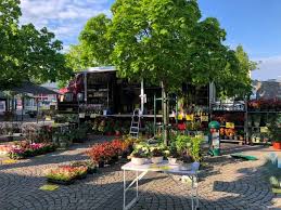Alle infos finden sie direkt beim inserat. Wochenmarkt