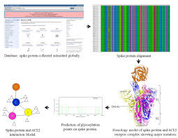 Sars Cov19 2 Spike Protein Mutation Patterns A Global Scenario V1 Preprints