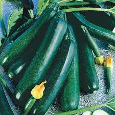 Any zucchini you aren't using immediately, can be preserved, pickled or frozen for later (instructions below). Black Magic Zucchini Summer Squash Gurney S Seed Nursery
