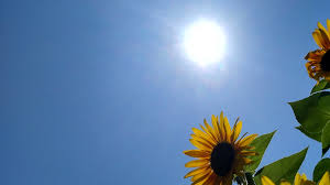 Dites de juny en català: 10 refranys populars!