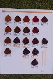 Italian Hair Color Brands Names Musk Cream Adore Hair Color View High Quality Italian Hair Color Milanshine Product Details From Guangzhou Enpir Cosmetics Co Hair Color Brands Italian Hair Adore Hair