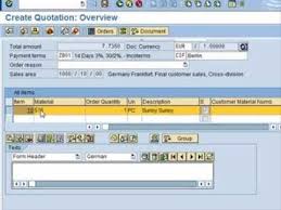 Sap Tutorial For Beginners Tutorial Sap Training Tutorial