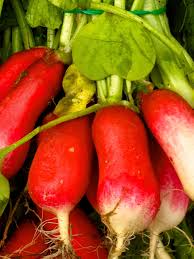Check spelling or type a new query. Making Sure Food From Your Garden Is Safe To Eat