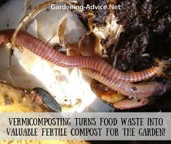 I am searching for the best choice of continuous flow earthworm bed equipment. Earthworm Facts For Gardeners
