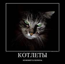 КОТЛЕТЫ исчезают в полночь / Прикольные картинки / смешные картинки и  другие приколы: комиксы, гиф анимация, видео, лучший интеллектуальный юмор.