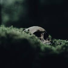 See more ideas about slytherin aesthetic, slytherin, slytherin pride. Slytherin Aesthetic Moodboard Harry Potter Amino