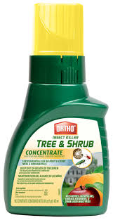 Ortho Insect Killer Tree And Shrub Concentrate