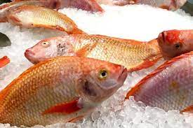 Can You Freeze Fish Whole Without Cleaning Them Important Tips And Tricks
