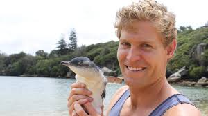 Bondi Vet, Bondi Rescue: Global sales and social channels help Australian  TV formats thrive