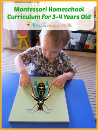 Program schedule the montessori toddler classroom is a unique environment where children between the ages of 18 months and three years develop their intellect, movement, and language. Montessori At Home Preschool Plans Free Unit Study Printable