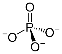 Phosphate Wikipedia
