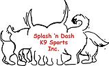 Beginner Flyball - Audrey/Kristen/Jen
