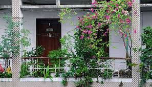 Jun 20, 2021 · anche un piccolo balcone può essere trasformato in un piacevole angolo di relax immerso nel verde: Piante E Fiori Da Balcone I Tipi Per Inverno Ed Estate