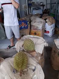 Nimo tv'de oyun canlı yayınlarını keşfederken, en popüler yayıncıların farklı içeriklerinin tadını çıkar! Báº£o Nam Tv Sáº§u Rieng Má»›i Vá» Bao CÆ¡m Vang Em Sip Facebook